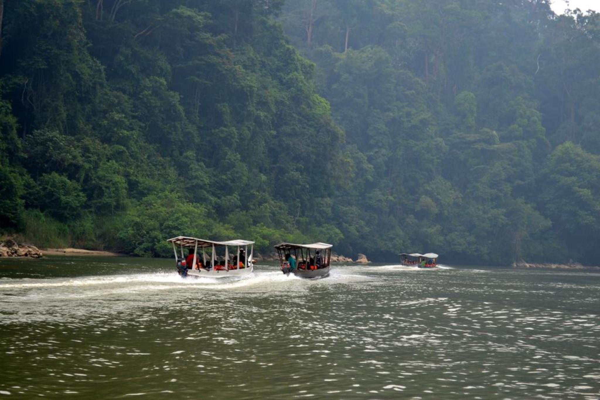 Отель Mutiara Taman Negara Куала-Тахан Экстерьер фото
