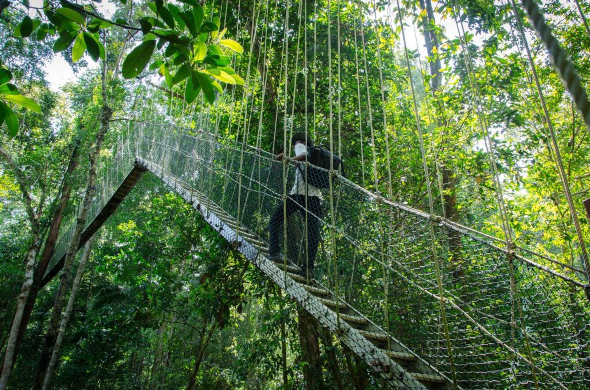 Отель Mutiara Taman Negara Куала-Тахан Экстерьер фото