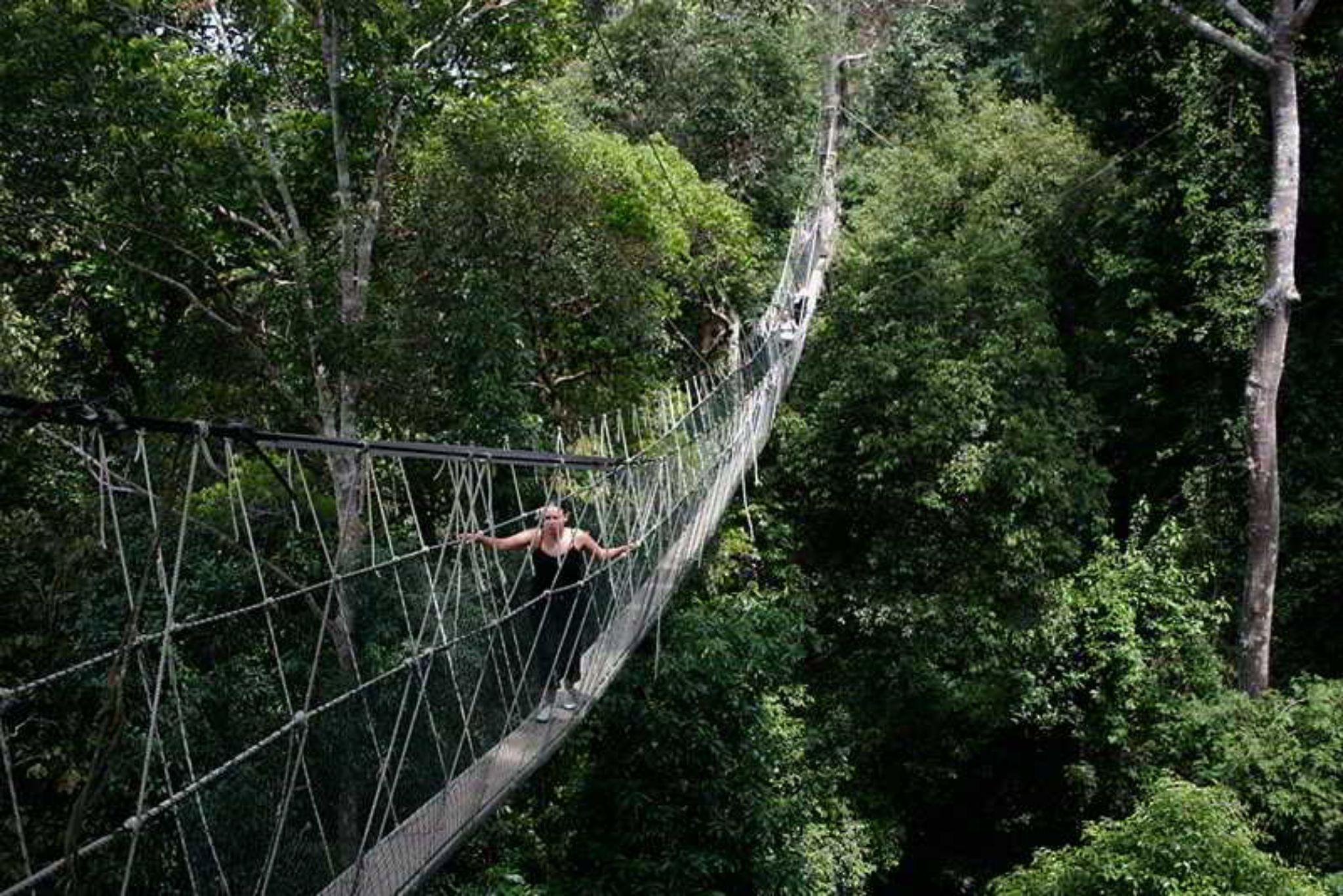 Отель Mutiara Taman Negara Куала-Тахан Экстерьер фото