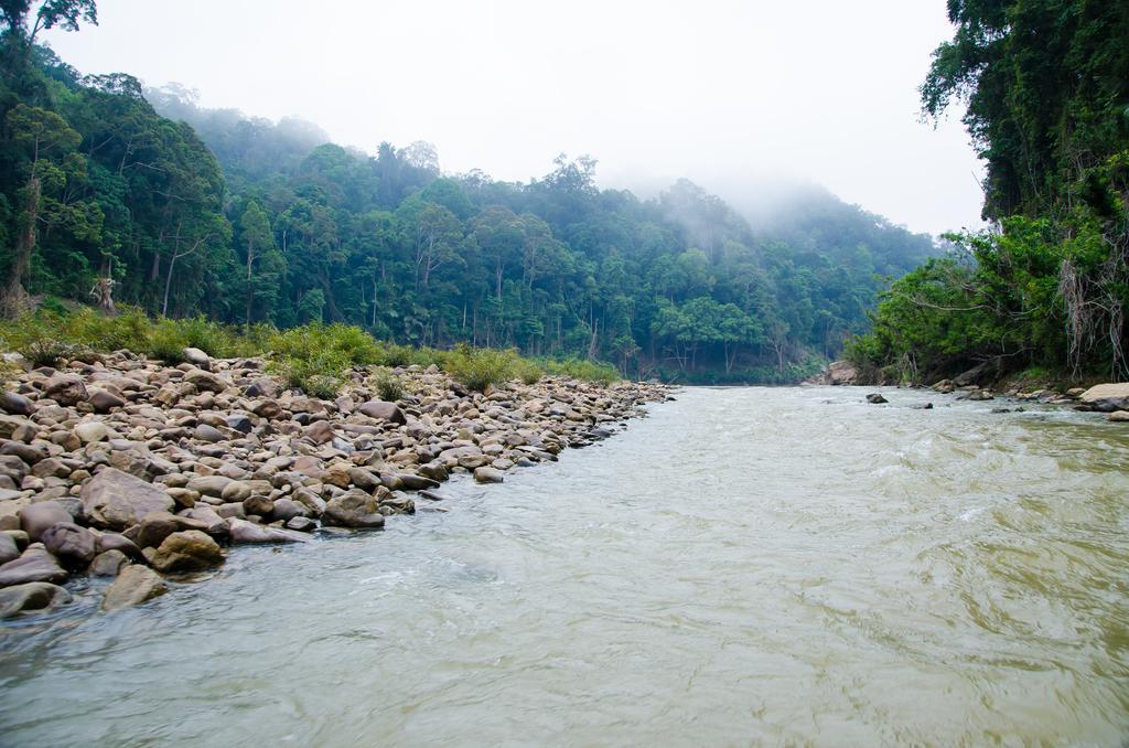 Отель Mutiara Taman Negara Куала-Тахан Экстерьер фото