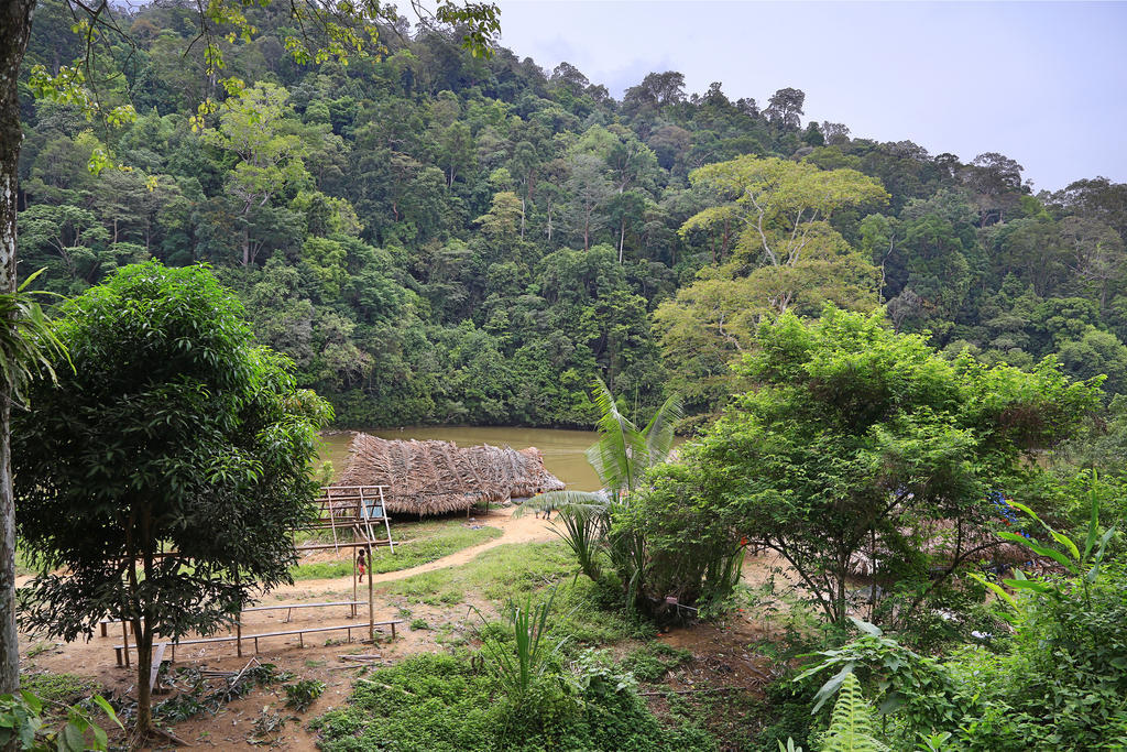 Отель Mutiara Taman Negara Куала-Тахан Экстерьер фото