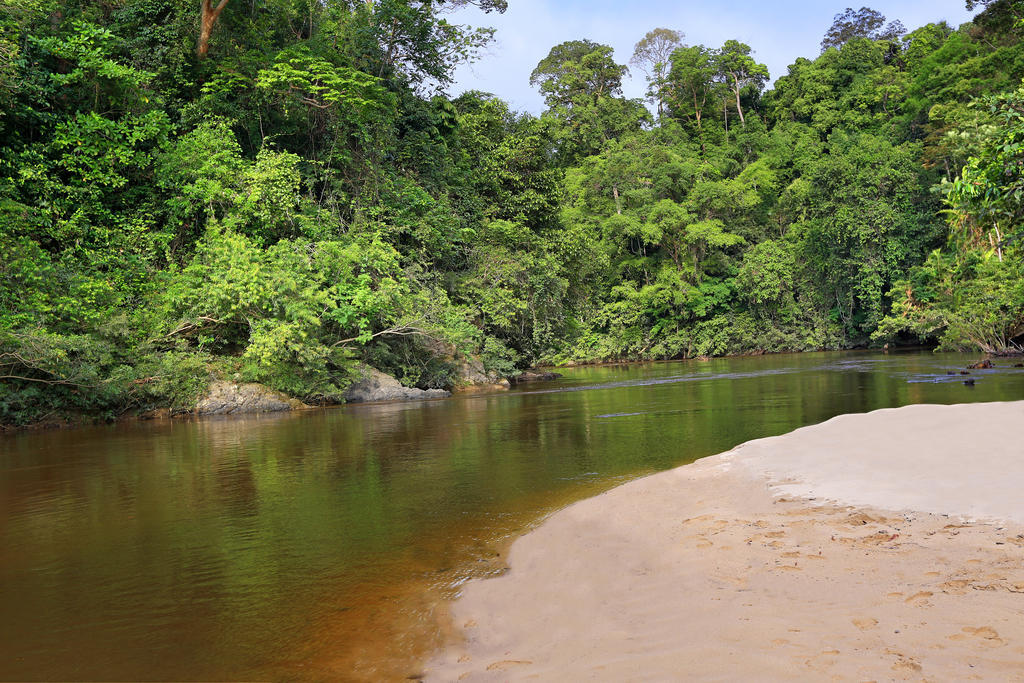 Отель Mutiara Taman Negara Куала-Тахан Экстерьер фото